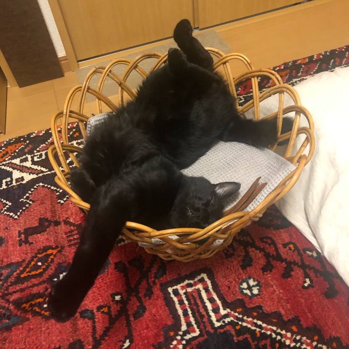 A65035d4 cdd1 4efb 8696 3b9eaafb0d33 1591397713108