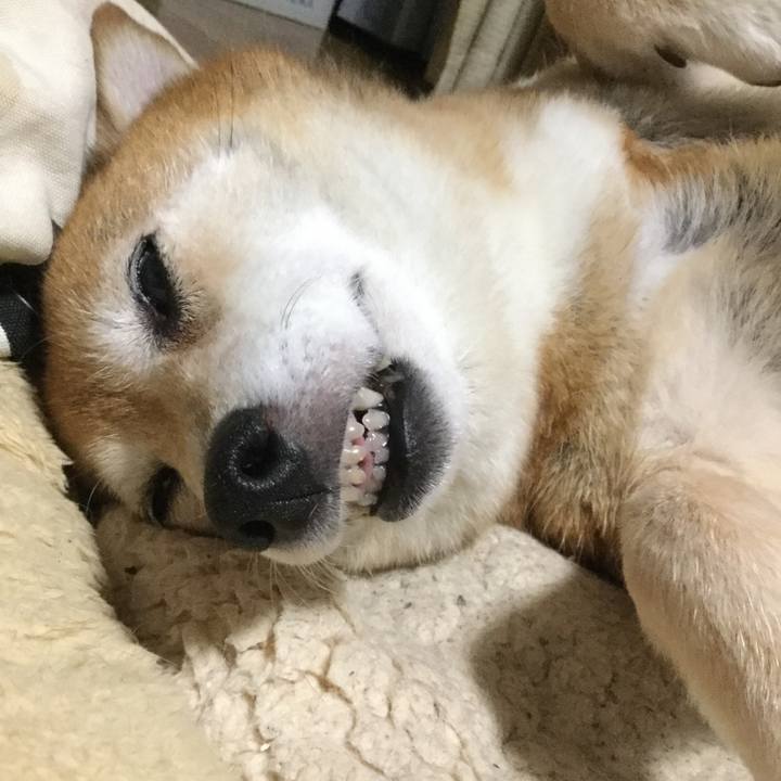 A65051d7 c533 4ddd ba89 d9e02f5ab312 1624878233854