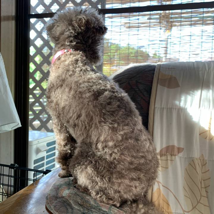 A65082a6 4b0e 4c81 8acb 298168329215 1623881571701