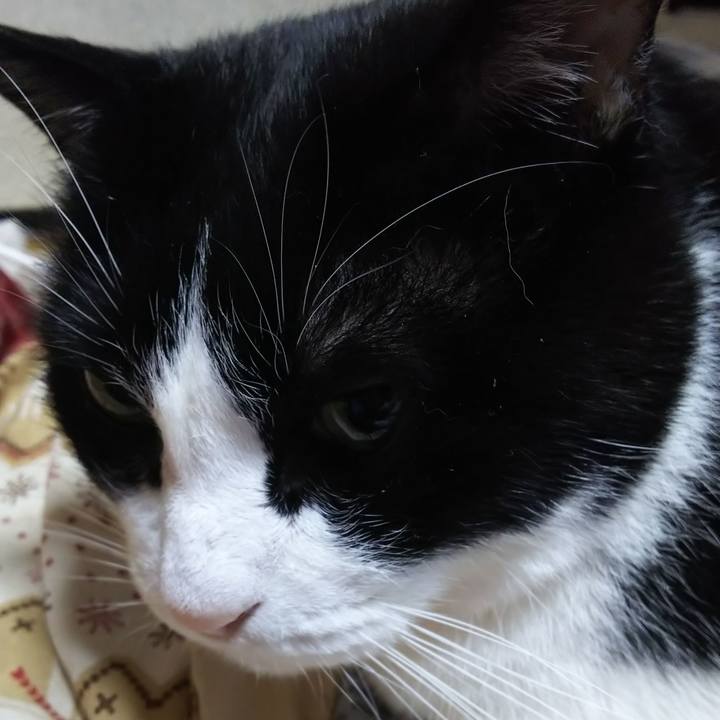 A65084df c43b 416f aa5c 5f6d834733cf 1579816615992