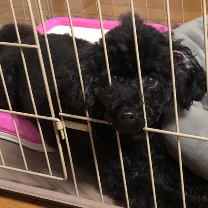 A6508679 f44c 4141 8d35 b9d3c1bd1011 1603620146064