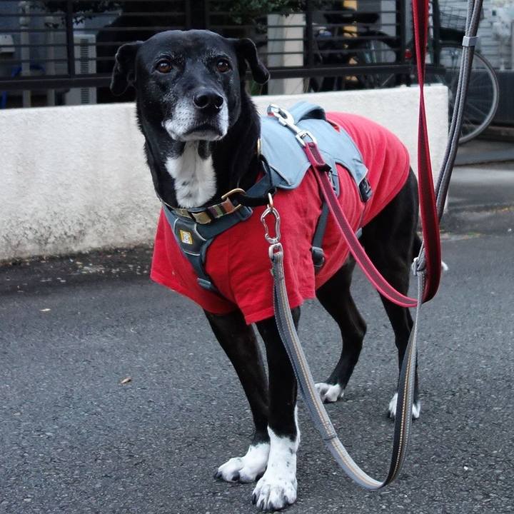 A650a2da e515 49f4 b5bc ec896fc37bd4 1735432527997