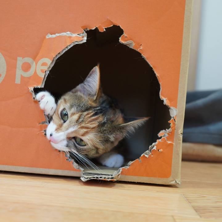 A650faf6 df48 47c5 9b3b 7edcbee1ad1b 1590712079321