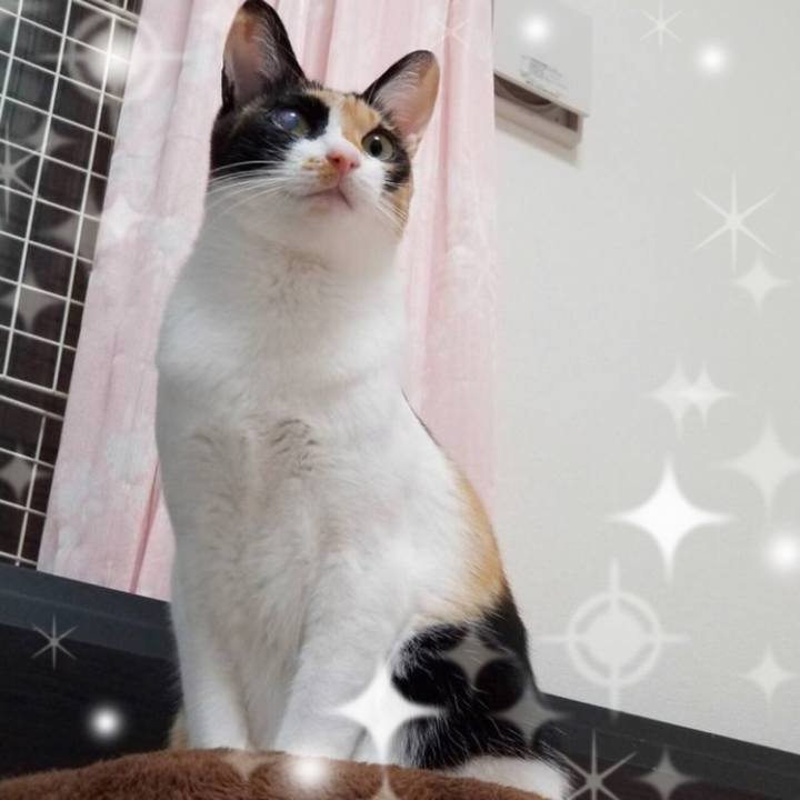 A6510156 d4a2 4261 9f63 d029721bcf2b 1548563159895