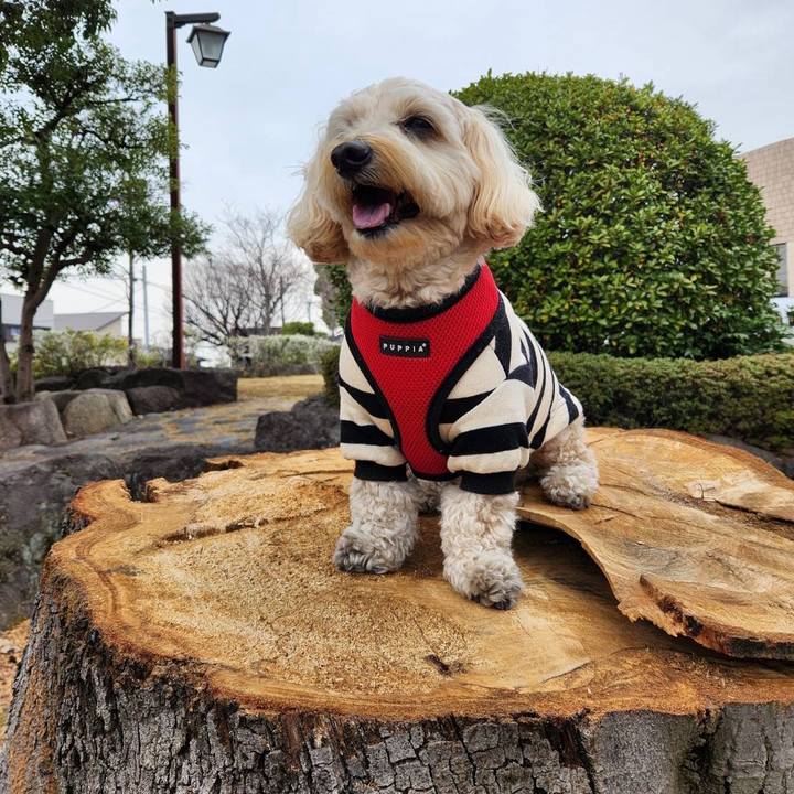 A65166a7 9b4b 48a3 8e33 e94603795907 1773814200429