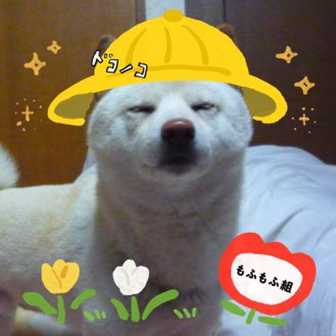 A6516e4c 1c0f 4b93 adc2 338cf0c08750 1712247756675