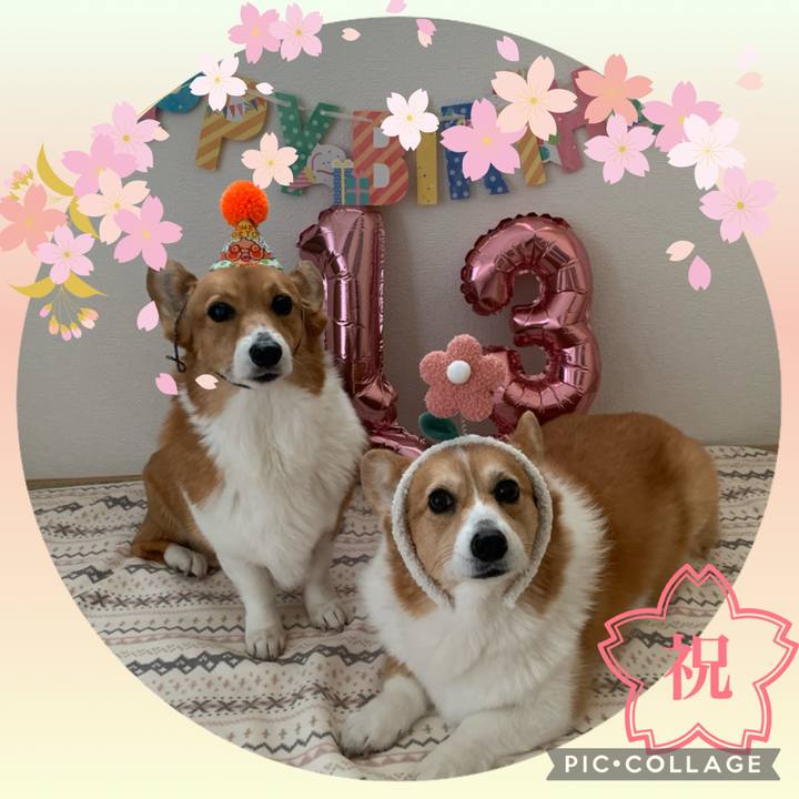 A6518515 9b33 4303 aa85 95bb5366a47d 1709543723127