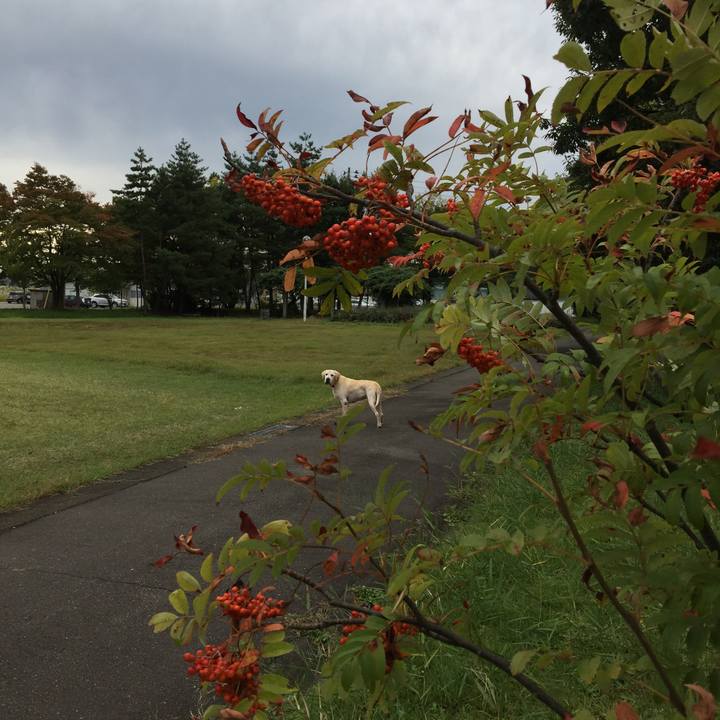 A651c81b 61f0 48d2 b011 364e057eb173 1508319738209