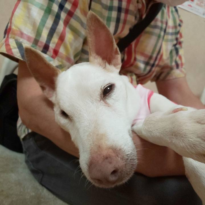 A651d82a ea7d 4916 9e8b 28be9a0e3d4f 1593253785302