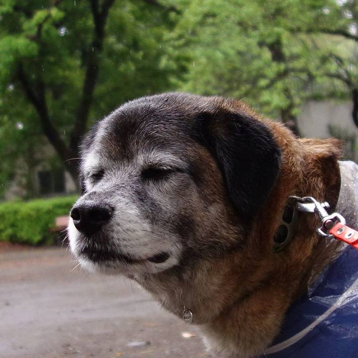 A651fb23 29f4 4f9e 8cb6 45fcbc7cdccb 1556586834170