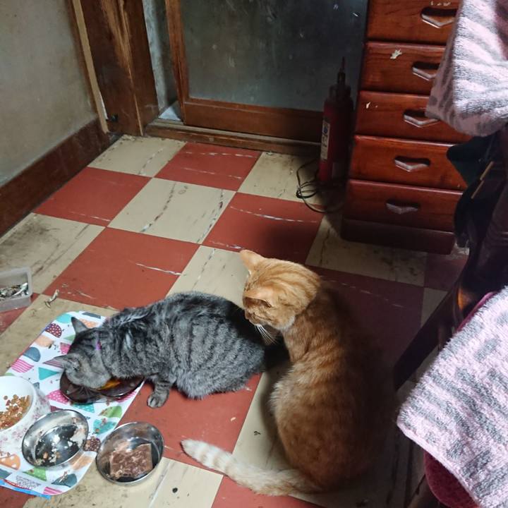 A652102e 30ca 416b b839 d4c57025a135 1589921472853