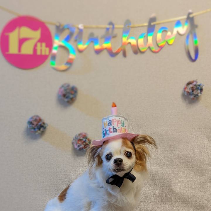 A6521d03 d005 4935 a9c7 e288e3e71d8a 1668004183562