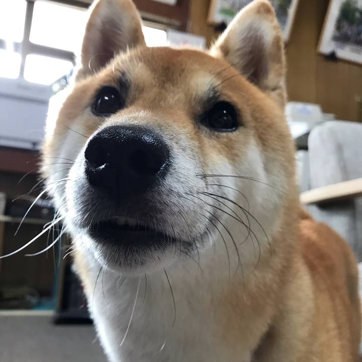 A652380d 73d5 437d bd9c 6dbc963e60e7 1565333251400