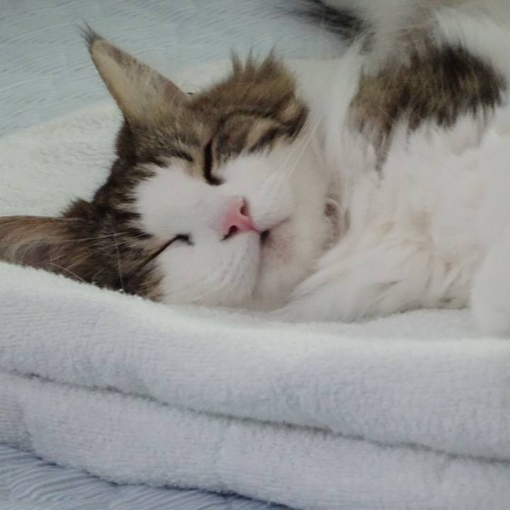 A65258df 37bd 4527 a730 60bb08c67426 1535553959438