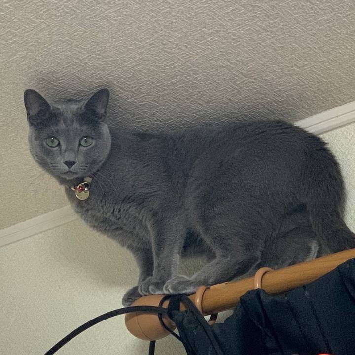 A65298e6 1e8a 407c b1ff 9ddd2567af67 1637839771348