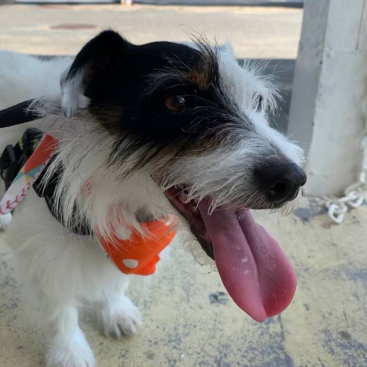 A652ab01 5a60 4573 9dd9 2849cea0e6b6 1566694430111