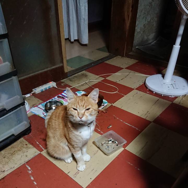 A652bd47 d5d1 41c4 8a97 44d813c07582 1593891663484