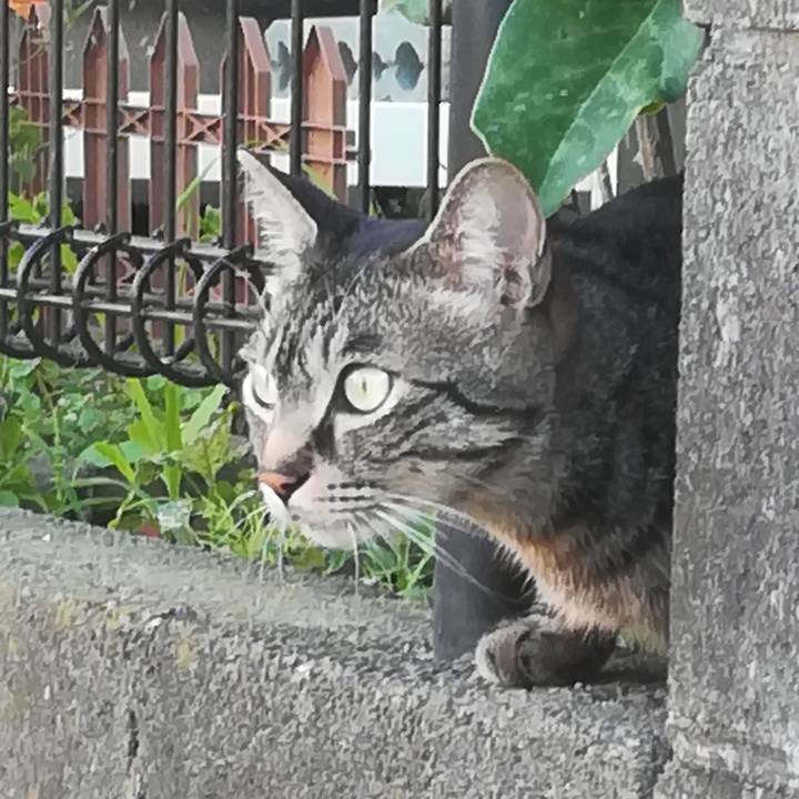 A6535821 0758 4d87 ba27 7b6544fe16df 1529142204034