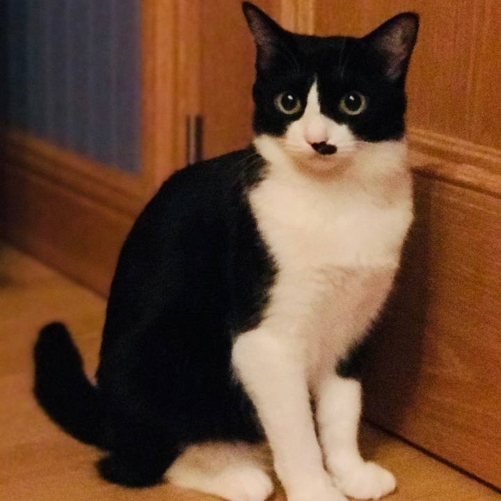 A6539d43 702f 4a58 974c 304fd45c05f7 1530467645416