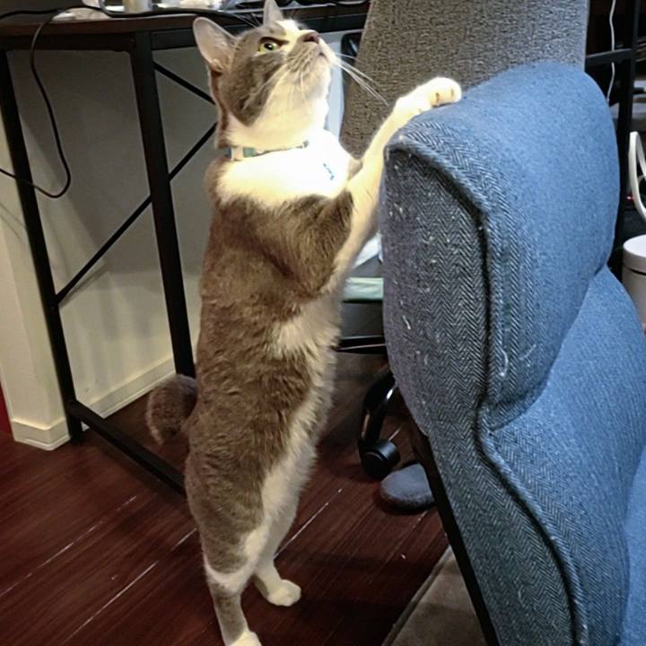 A653c50d 70dc 4f96 b834 97695c95d340 1653565267343