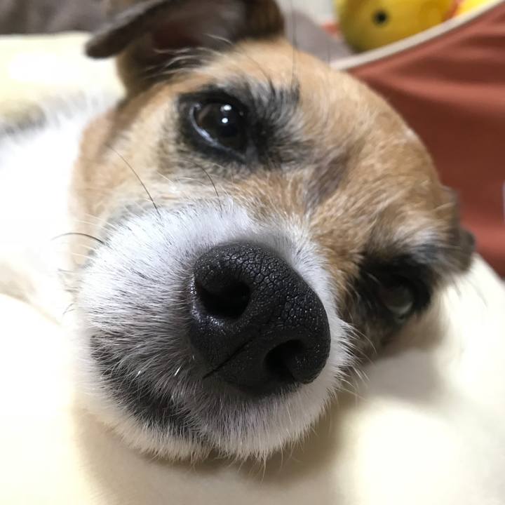 A653cd92 7513 48c2 815f 6fba37cd3f2d 1523575913200