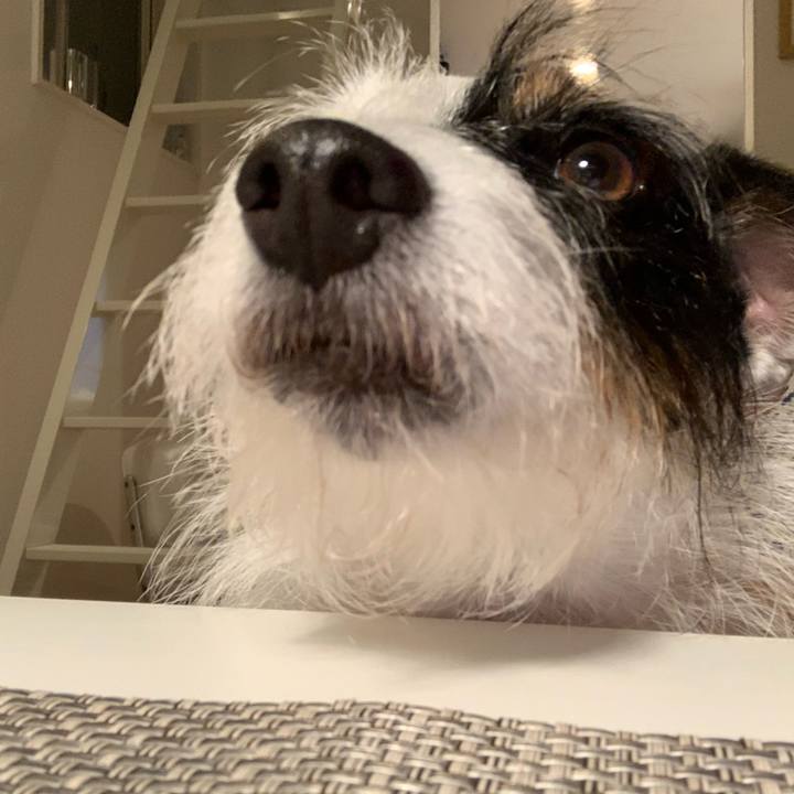 A653e068 bfc0 4a6f a8d4 3c5b557e8ddb 1629973483254