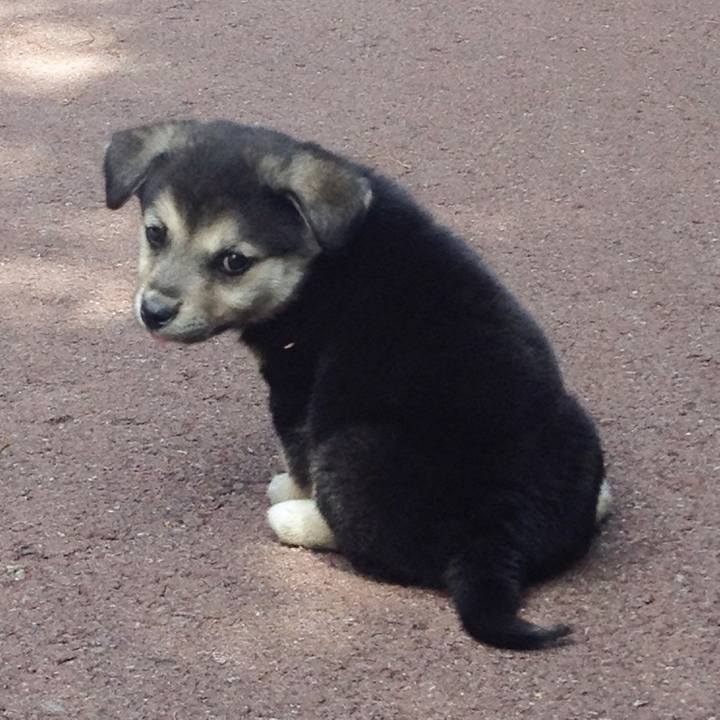 A6541212 b16b 4f94 8fa0 669a3053d0db 1683982403914