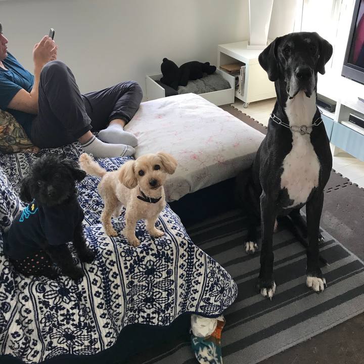 A65459e8 ed12 4771 8fea 891b316df774 1522622130839