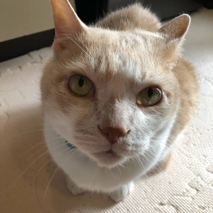 A654732d 5abc 4973 afee 016a177e55ad 1620616638861