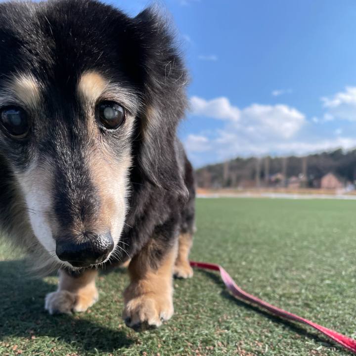 A6547587 5ab1 460d b67f df9f0021daa5 1737354205000