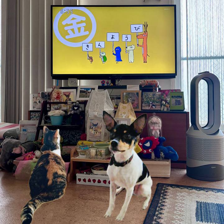 A654a821 0e09 4512 b225 65caf25e1593 1761261257181