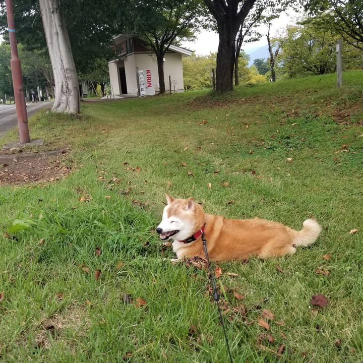 A654a8dd bfef 4977 8ac8 05851949ce19 1726213884037