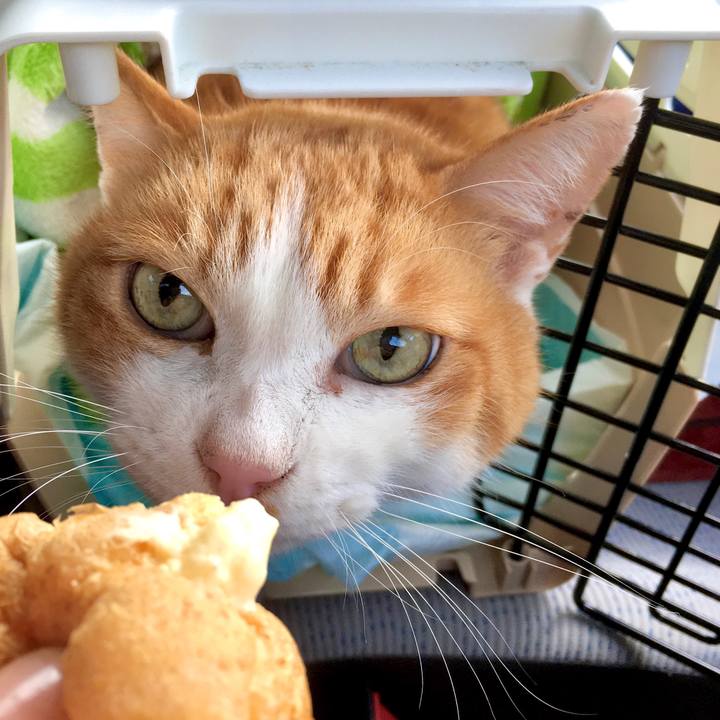 A654eda6 02f5 433b a0b2 013c6c7367dc 1575269679897