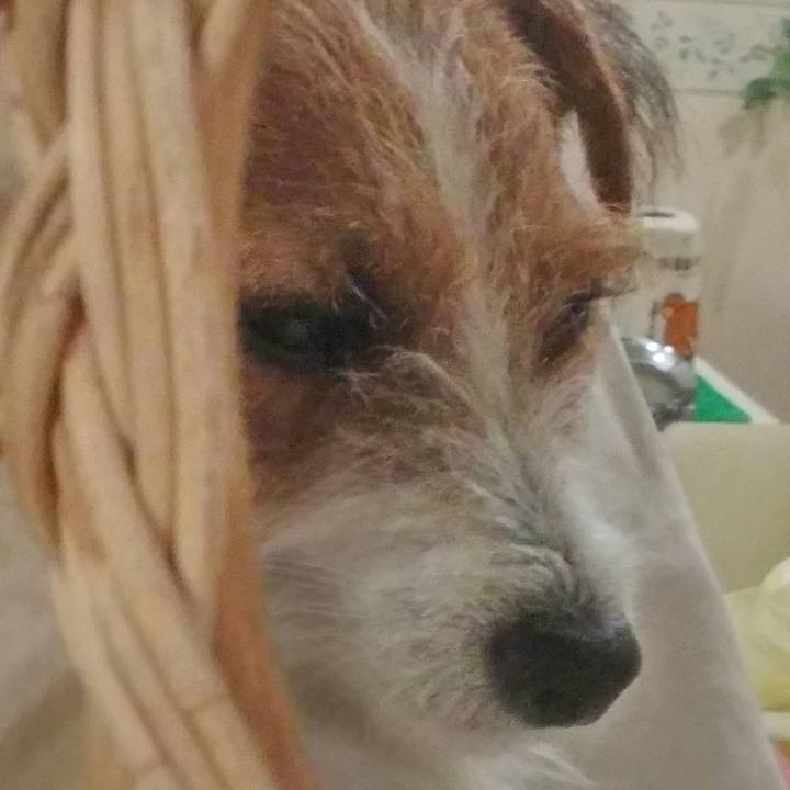 A654fbeb 7e19 4545 9af1 d45772b5e57e 1537522276318