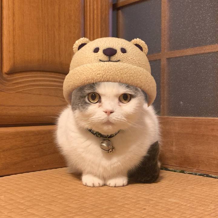 A6552f41 c0d8 455b 8f2a 1f5cb959cd40 1738155526628