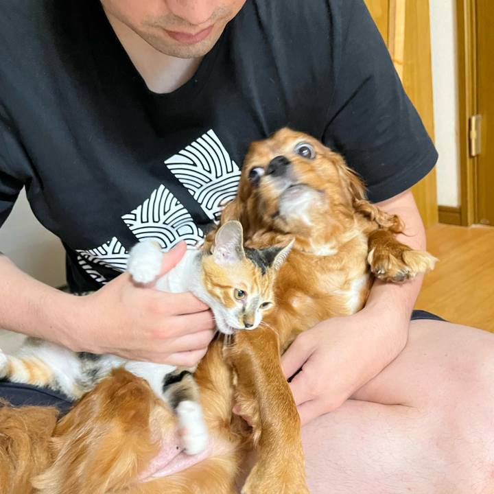 A65534c3 e832 4c84 89e9 1fa65d317eac 1658182547544