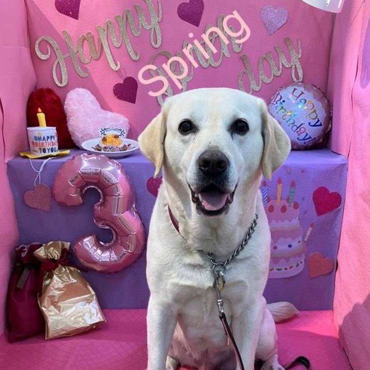 A65535b6 fe74 49a5 96a9 15bdf349c07e 1680275699350