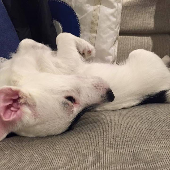 A6553ec0 ba81 4e38 b65a f97abd920545 1550790968577