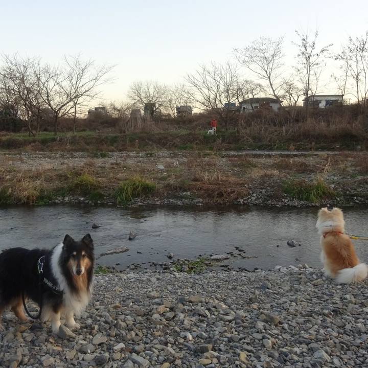 A6559745 b35a 41ad ba59 7127b6345e42 1609940306331