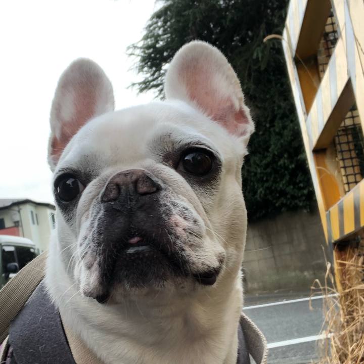 A655a222 296e 4ec3 bc63 3fe5239acb16 1636190931649