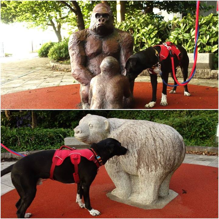 A655d888 490f 40a4 920d 2c468a232ec2 1593860333444