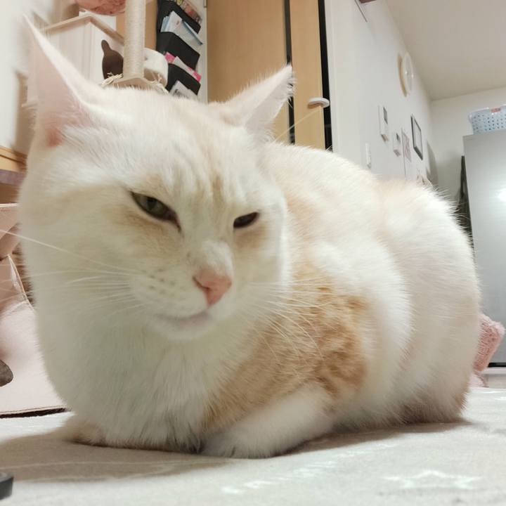 A655f420 2a15 476e 8a50 249c64f688d6 1675344732939