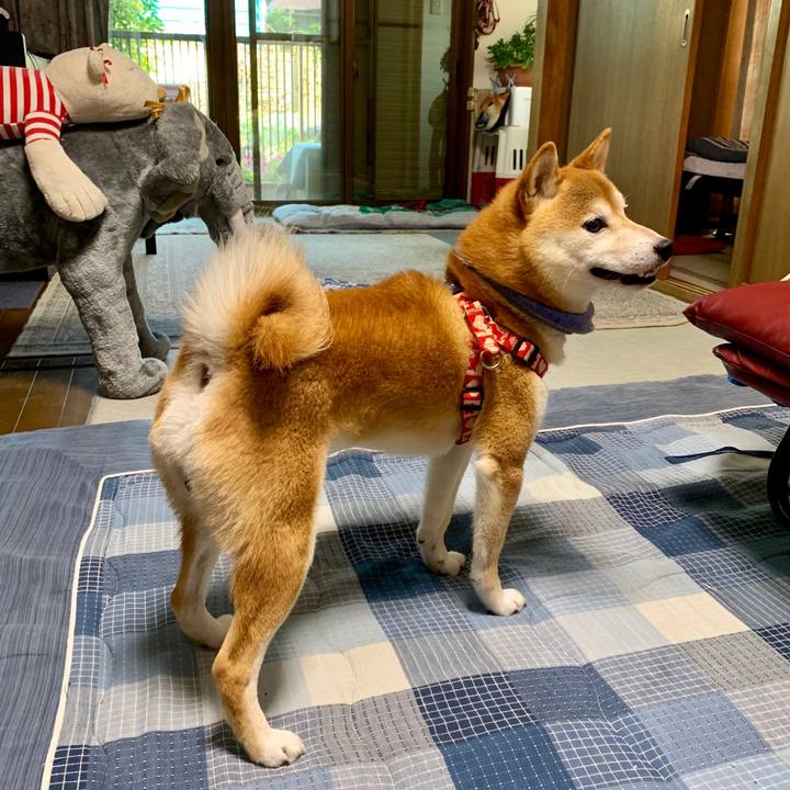 A6560372 a7d2 4643 b3a7 fa50fedf572f 1568199785048