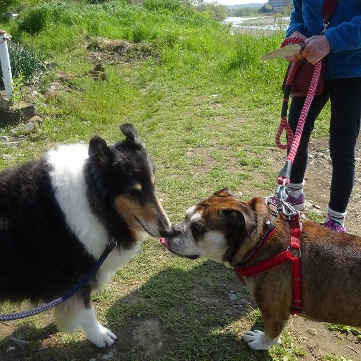 A656080f eefa 4a14 ba89 b2a7202bd066 1588215172177