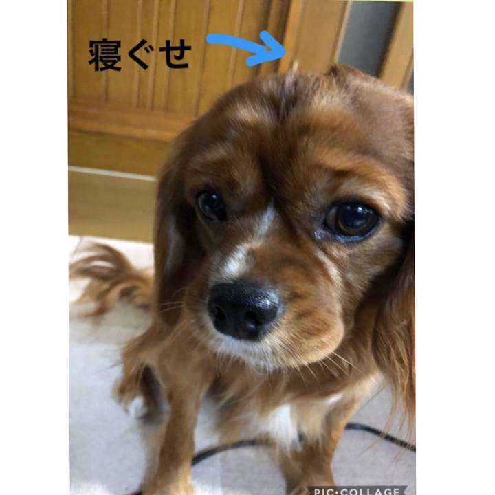 A6561efa f619 4cb7 9313 fee66080d7b5 1548303624974