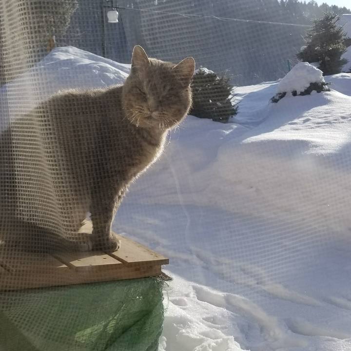 A656a89a 9912 43b9 88dd af1c679c74fb 1517529415148