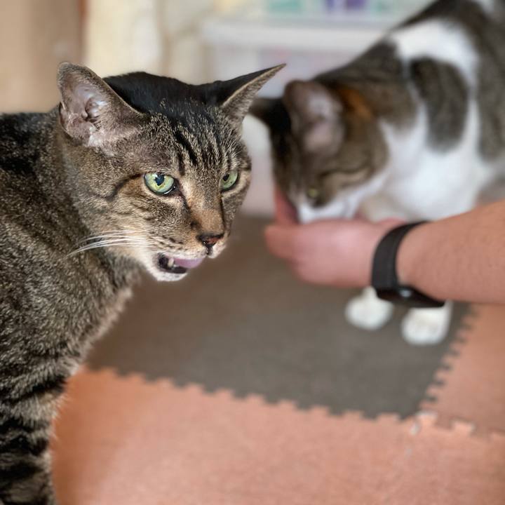 A656a906 4d0c 4fe1 a1cd 677ca0ea90bc 1630200942664