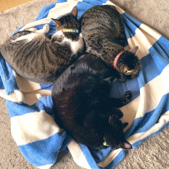 A6576c0e 1918 4ad2 850d bba285b866c6 1574418127466