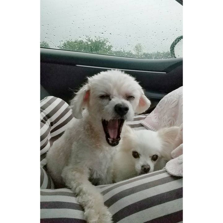 A65781be af24 495b 85d6 5eb8dae7f30d 1659608457025