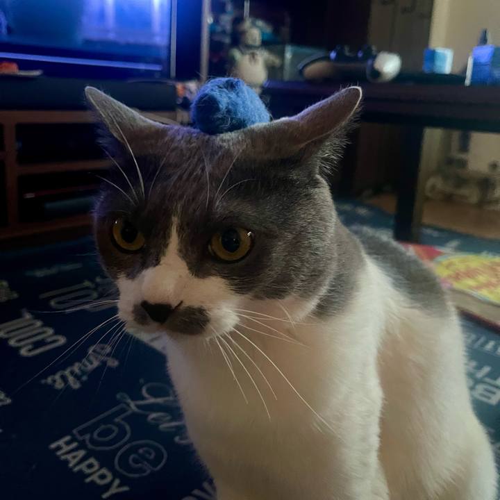 A657d81f 3fcb 4c26 95f2 f4e1c0a772e2 1718963267394